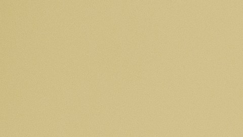 Sacerdote viral boda amigo