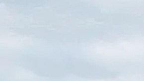 Raylon Scott, de 19 años de edad, dormitaba en el asiento trasero de un Audi A4 2012.