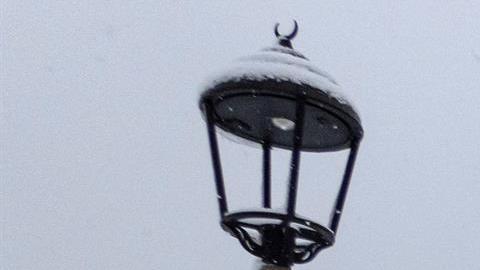Turquía nevadas animales congelados vivos