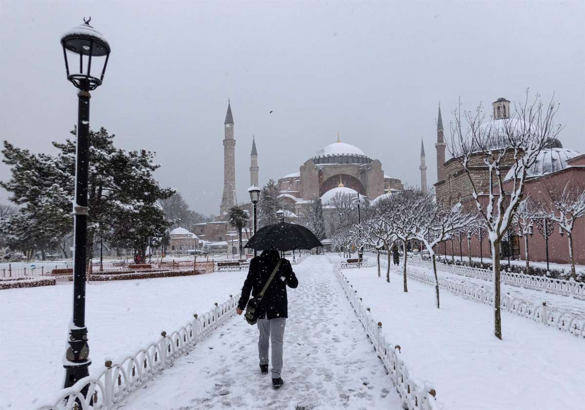 Varios animales quedan congelados vivos durante nevada en Turquía - El  Diario NY