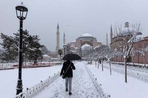 Varios animales quedan congelados vivos durante nevada en Turquía