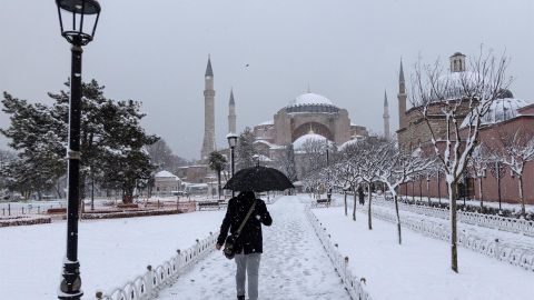 Turquía nevadas animales congelados vivos