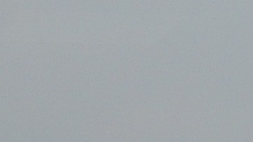 united-airlines-covid-trabajadores