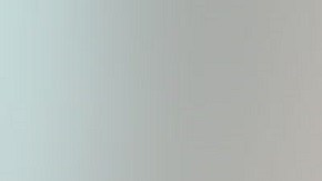 Robert Lee Stevenson