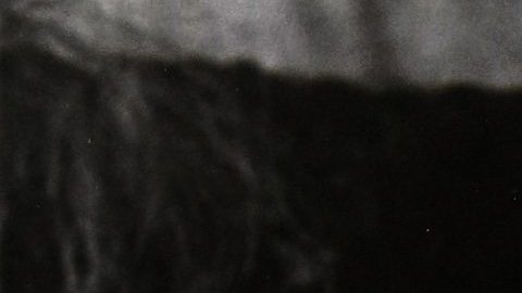 Vicente Fernández murió el 12 de diciembre de 2021, a los 81 años.