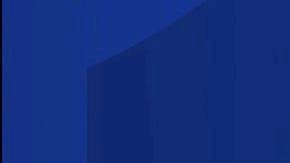 Sospechoso detenido.