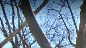 St. Albans, Queens, NYC,