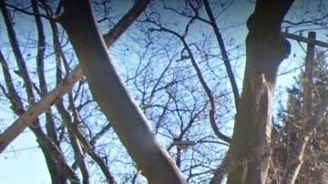 St. Albans, Queens, NYC,