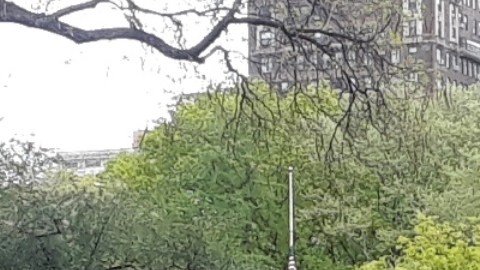 Votantes y NYPD piden revisar la reforma penal.