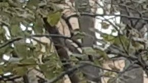 Unidad bomberil FDNY/Archivo.