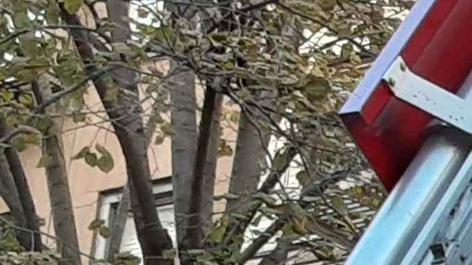 Unidad bomberil FDNY/Archivo.