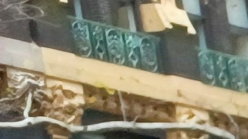 La activista comunitaria Angeles Solis alerta que es momento de crear soluciones para la fuerza laboral más vulnerable.