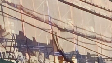 Proyecto de Vendedores Ambulantes realizó campaña para que consumidores apoyen a estos trabajadores el día del amor y la amistad