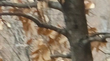 La puertorriqueña Carmen Acevedo luego de 28 años viviendo en un apartamento recibió una mala noticia: !Debe desalojar!