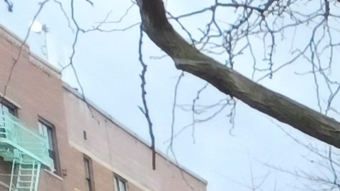 Pierina Sánchez, de 33 años, se propone nuevas batallas para defender a sus comunidades de El Bronx.