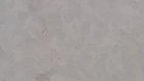 La cocaína era contrabandeada dentro de la estatua de un pato dorado.