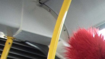 En general, cruce de encuestas muestran un apoyo de los neoyorquinos a poner mano dura al hampa.