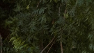 El Gobierno de República Dominicana también intensificó la vigilancia en su frontera con Haití.