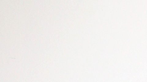 José Eduardo Derbez compró el ataúd durante la pandemia