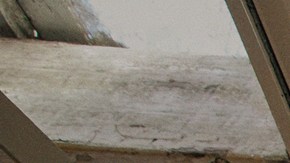 Adidas comparte 25 fotos de senos al descubierto en Twitter y se arma polémica entre usuarios