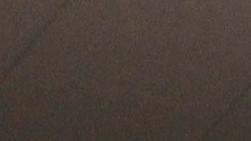 Aficionados de Rayados de Monterrey.