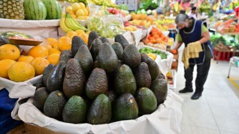 Aguacates
