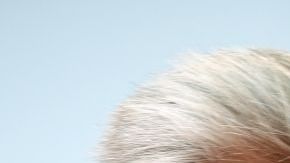 Alec Baldwin: la familia de la directora Halyna Hutchins lo demanda por homicidio culposo