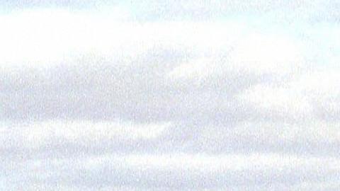 Petróleo