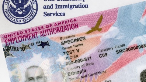 USCIS tiene nuevas políticas sobre la Autorización de Empleo.