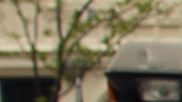 Hubo un alza en las balaceras del 31.6%, al reportarse 100 el mes pasado comparado con 76 en enero del 2021.