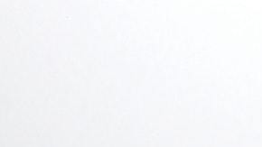 Cada “Prickly Valentine” de Topo Chico viene con un mini cactus y una tarjeta conmemorativa.