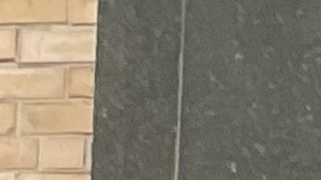 Alertan de un aumento en las enfermedades de transmisión sexual entre latinas en NYC