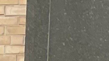 Alertan de un aumento en las enfermedades de transmisión sexual entre latinas en NYC