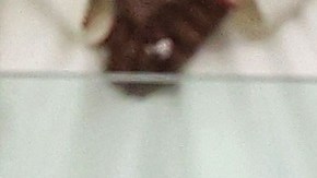 FBL-FIFA-ARAB-CUP-TUN-ALG