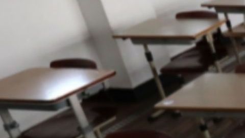 Profesora