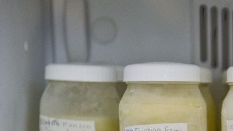 Leche materna