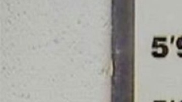 Douglas Edward Bennett