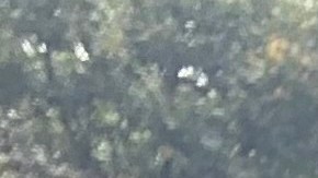 Vence plazo de mandato de vacuna para empleados municipales en NYC