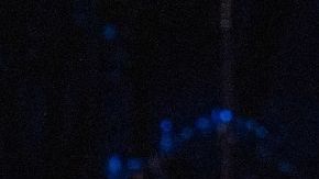 Elton John se solidariza con ucranianos durante concierto en Nueva Jersey.