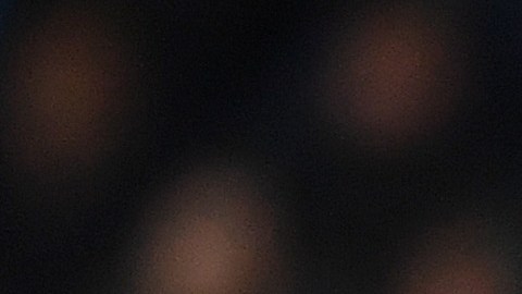 Wayne Rooney