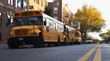 Autobuses escolares en NYC/Archivo.