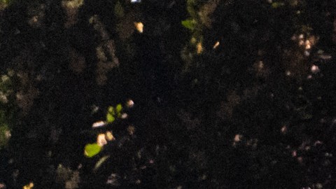 Cobertizo