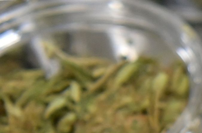 Agricultores de Nueva York podrán comenzar en breve el cultivo de marihuana