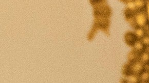 US-Russia Summit 2021 In Geneva