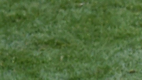 Oleksandr Zinchenko