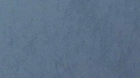 En las tres últimas temporadas estivales sólo se ha cazado una ballena en Islandia.