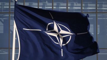 la OTAN es el acrónimo de la Organización del Tratado del Atlántico Norte , una alianza de 30 países independientes