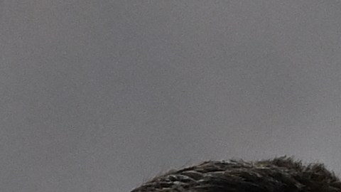 Neymar Jr. y Lionel Messi