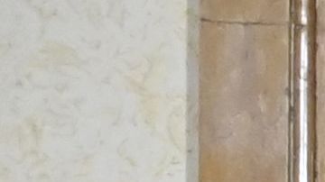 Emmanuel Macron & Joe Biden