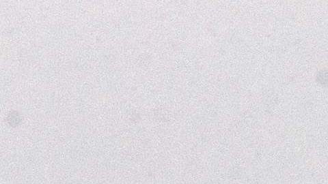 Nevada Massachusetts